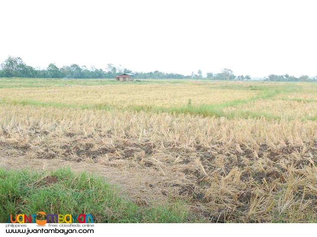 Agricultural Land 3 hectares 2.2M For Sale