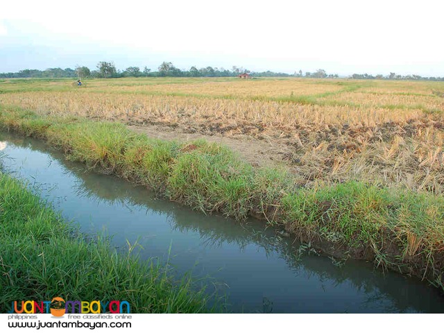 Agricultural Land 3 hectares 2.2M For Sale