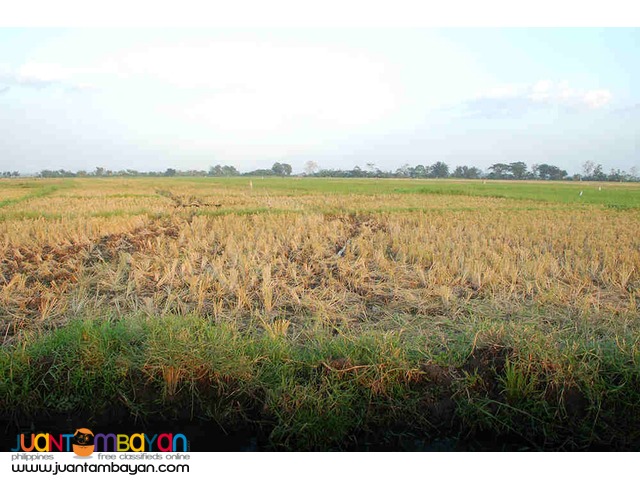 Agricultural Land 3 hectares 2.2M For Sale