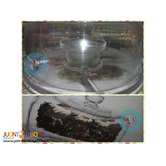 Cake stand with glass cover