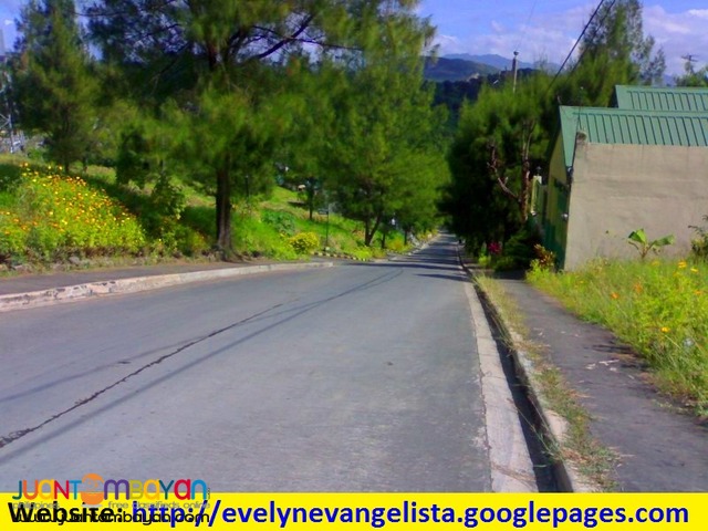Res. Lot in Olalia Road Antipolo City - Summer Hills phase 4A & 4B