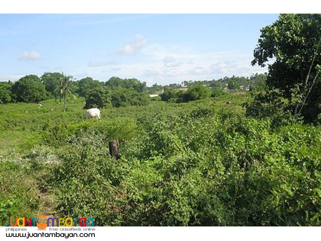 24.6 Has Dasma,Cavite Vacant Land