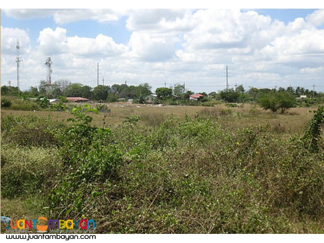 Laguna 50 has vacant land