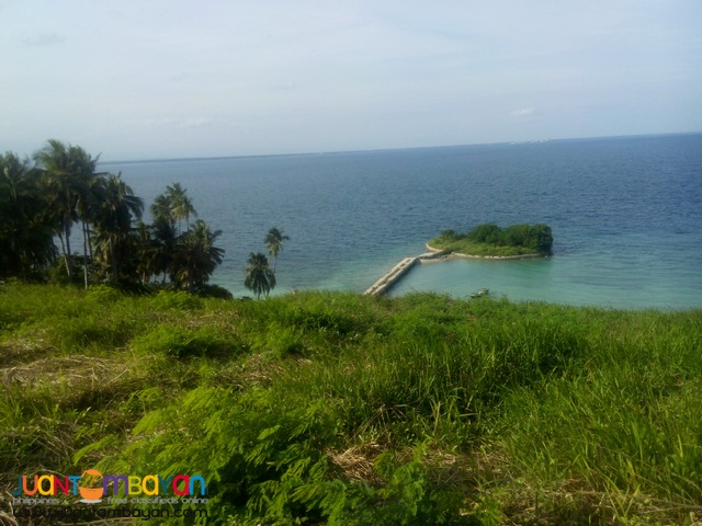 lot only ocean view samal davao del norte 
