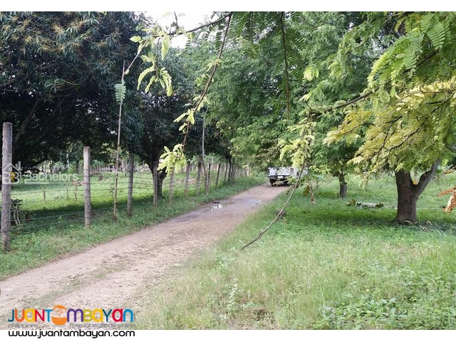 Lot for sale as low as P 3,868k monthly amort in Compostela