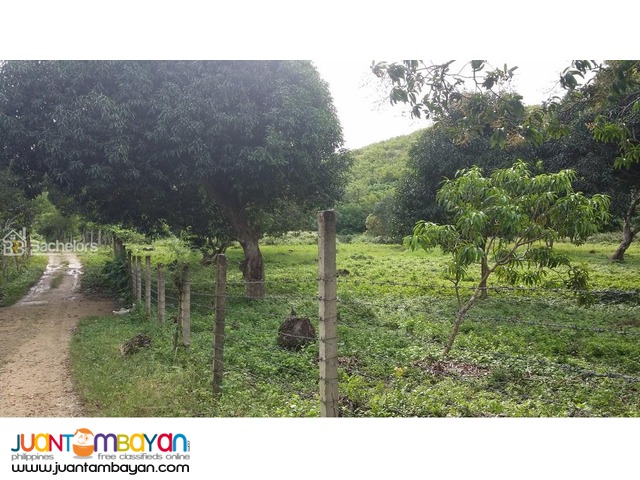 Lot for sale as low as P 3,868k monthly amort in Compostela