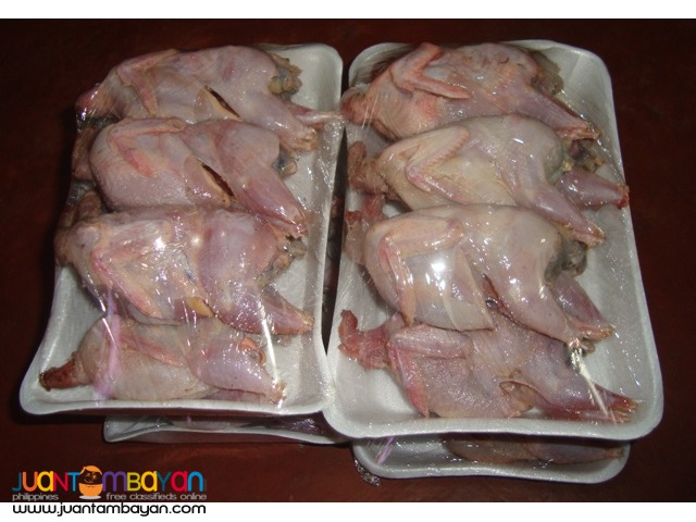 FRESH DRESSED QUAIL MEAT FOR SALE TASTE THE NATIVE DELICACY!!