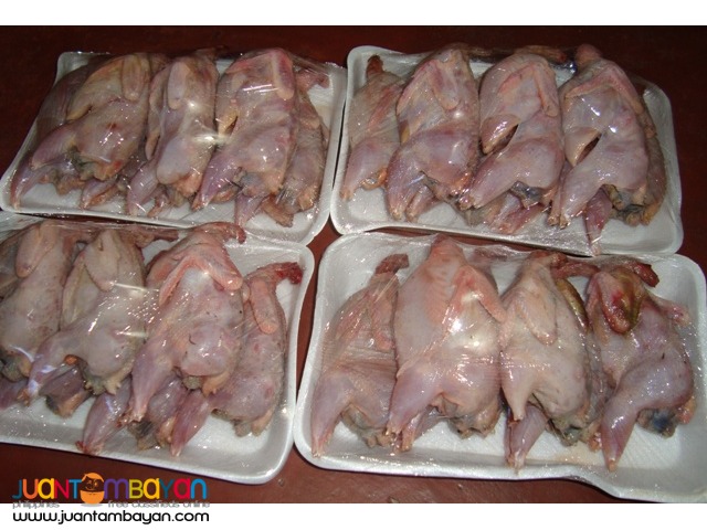 FRESH DRESSED QUAIL MEAT FOR SALE TASTE THE NATIVE DELICACY!!