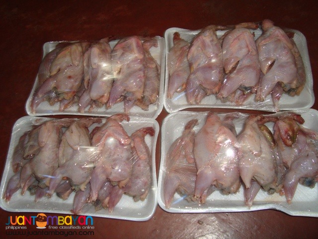FRESH DRESSED QUAIL MEAT FOR SALE TASTE THE NATIVE DELICACY!!