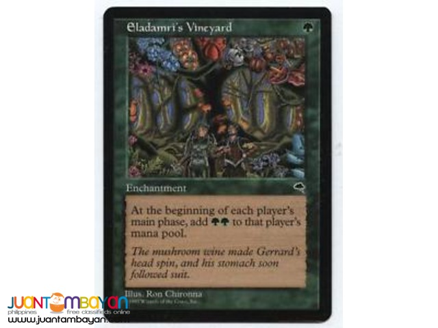 Eladamri's Vineyard (Magic the Gathering Trading Card Game) Eladamri's Vineyard (Magic the Gathering Trading Card Game)