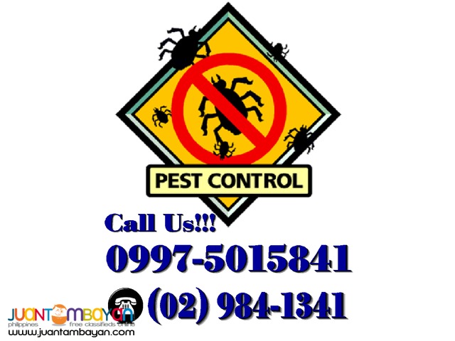 Pest Control Service