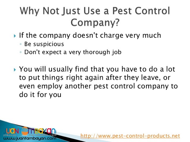 General Pest Control Service and Termite Control