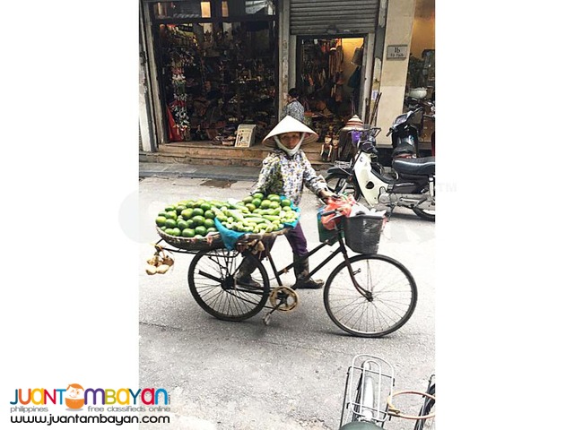 Vietnam tour, to its Capital, Hanoi