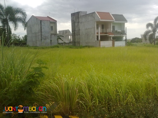 40 sq.mtrs new subd. roselyn homes