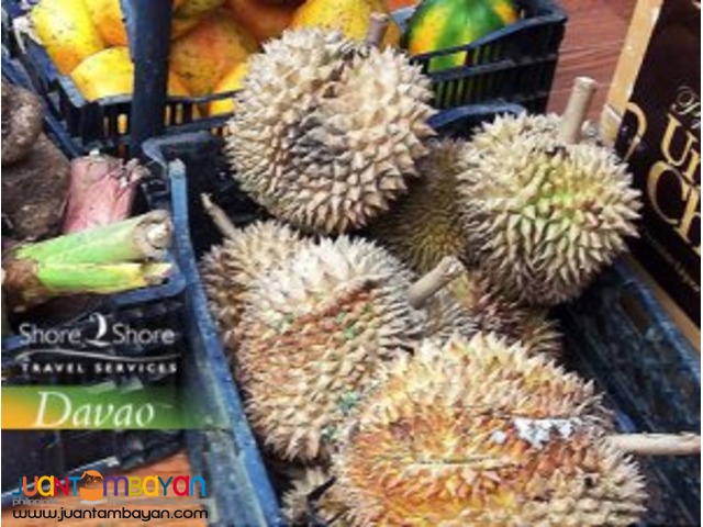 1 Night Davao Marco Polo Hotel, 1 Night Pearl Farm Davao, Davao tour 1 Night Davao Marco Polo Hotel, 1 Night Pearl Farm Davao, Davao tour