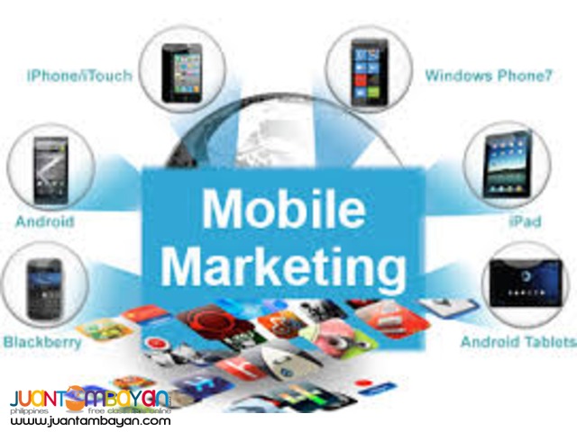 Email Marketing Management, Web Development, SMS blast, SEO Services