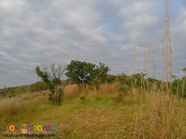 NUEVA ECIJA FARM LOT