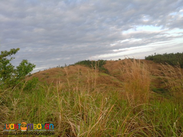 NUEVA ECIJA FARM LOT