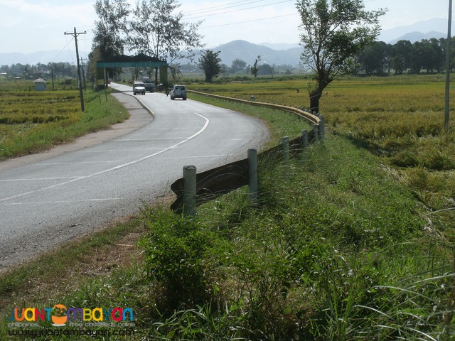 NUEVA ECIJA FARM LOT