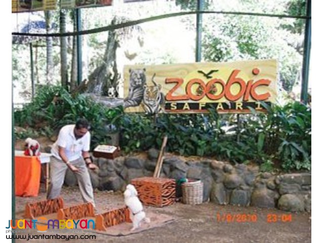 Subic tour package, invites you to Zoobic Safari and Ocean Adventure