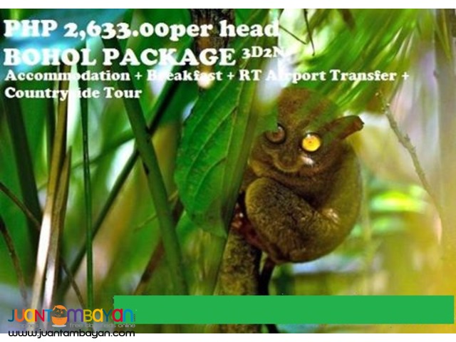 BOHOL PACKAGE TOUR BOHOL PACKAGE TOUR
