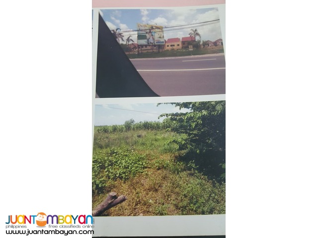300 Hectares Lot For Sale 