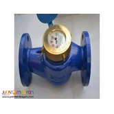 Solar motion sensor light (GT-SL 19P)