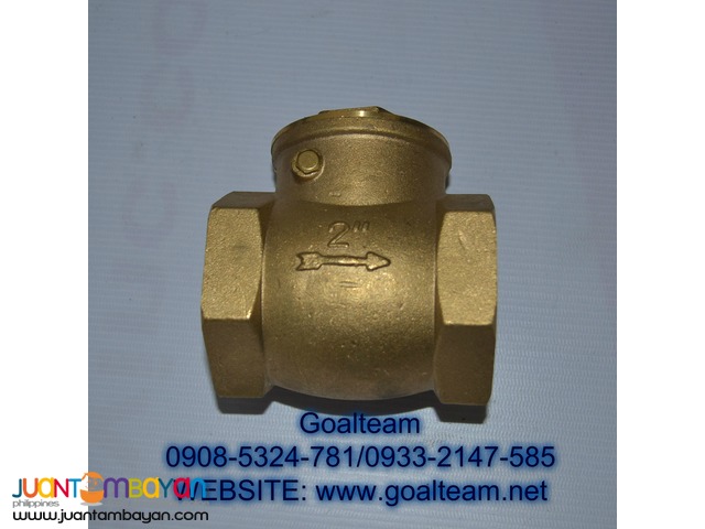1/2" Swing Check Valve