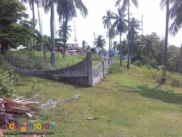 Lot for sale as low as P 9,066k monthly amort in Minglanilla Cebu