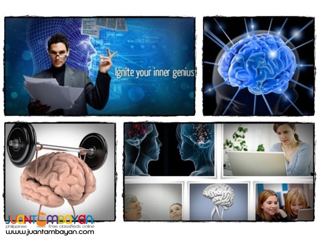 ZOX Training (Brain Management) ZOX Training (Brain Management)