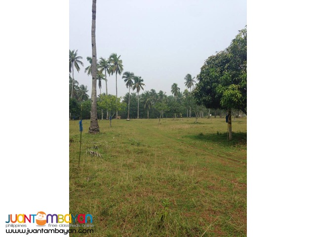 FOR  SALE SAMAL RESIDENTIAL LOTS 150SQ.M FOR INSTALLMENT