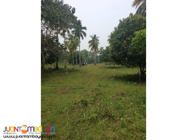 FOR  SALE SAMAL RESIDENTIAL LOTS 150SQ.M FOR INSTALLMENT