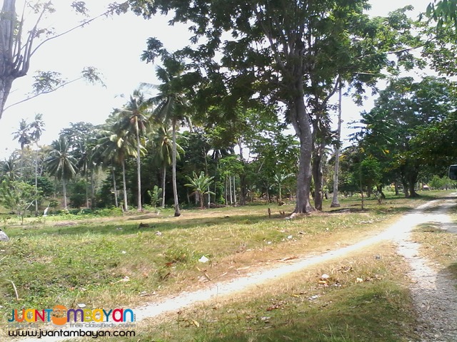 FOR SALE SAMAL BEACHLOT 750SQ.M FOR 5YRS TERMS 