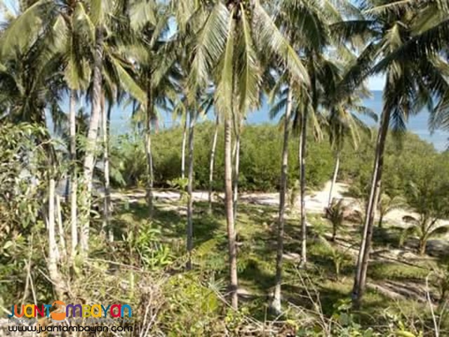 BEACH LOT IN CAMOTES ISLAND 