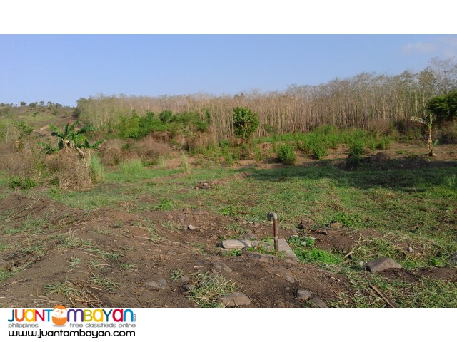COMMERCIAL LOT IN PALAYAN CITY