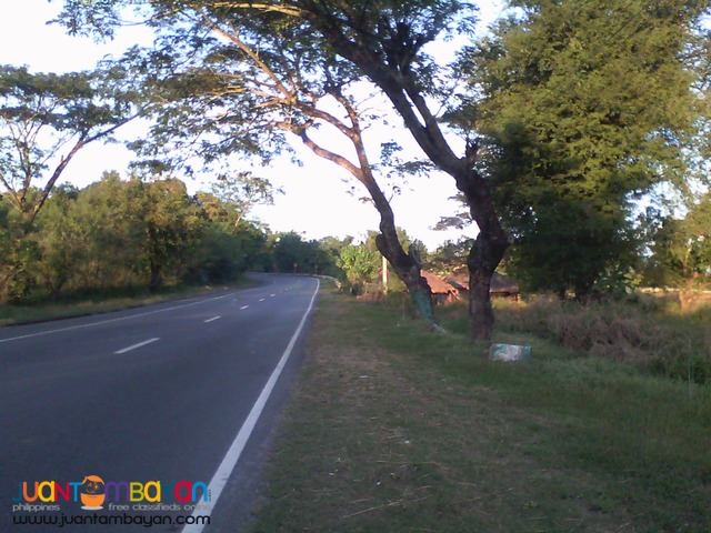 COMMERCIAL LOT IN PALAYAN CITY