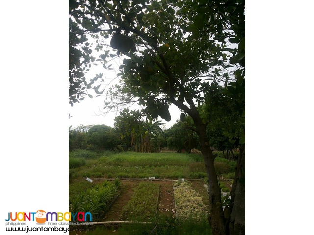MANILA EAST LAKEVIEW FARMS Morong - Vacation/Farm/Residential Lots