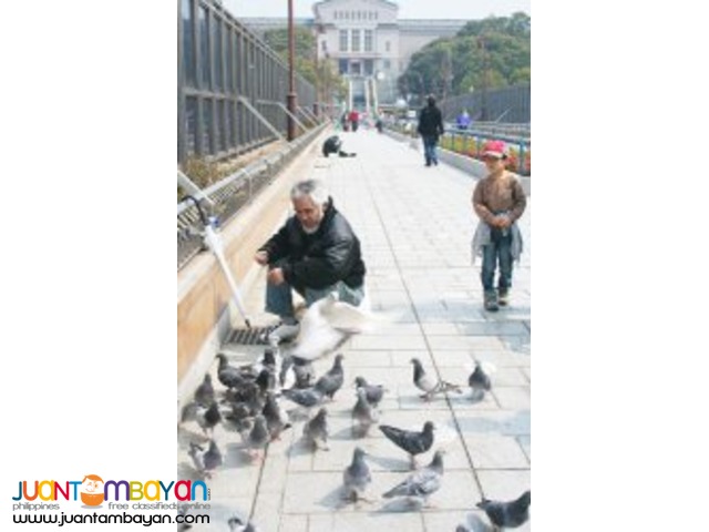 3D2N Fukuoka, Japan Tour Package 3D2N Fukuoka, Japan Tour Package