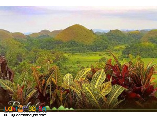 Chocolate Hills, is Bohol's greatest pride in Bohol tour package Chocolate Hills, is Bohol's greatest pride in Bohol tour package