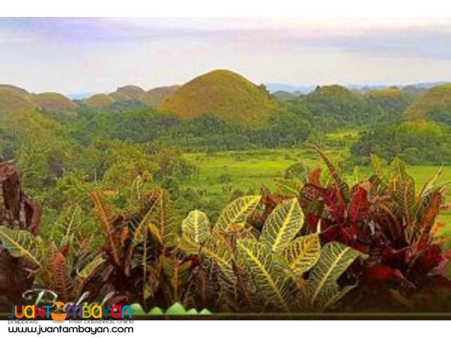 Chocolate Hills, is Bohol's greatest pride in Bohol tour package