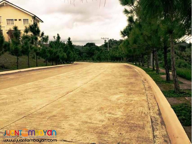 Camella Riverscapes @ Pit-os, Cebu City Gavina Model