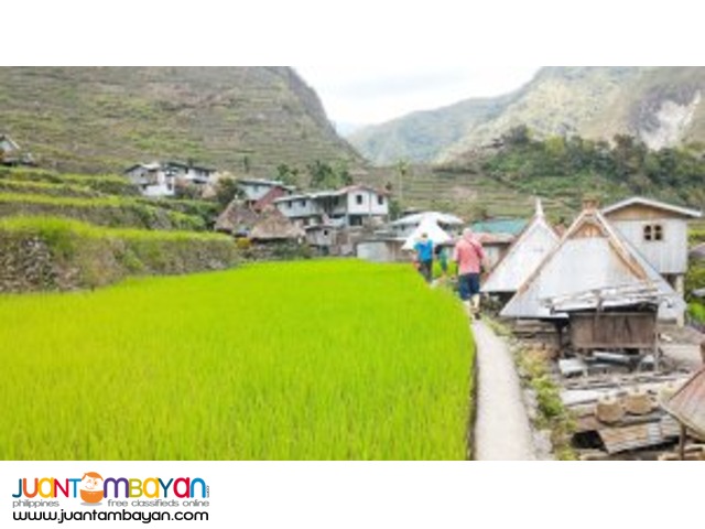 Bold and Beautiful, Banaue Tour Bold and Beautiful, Banaue Tour