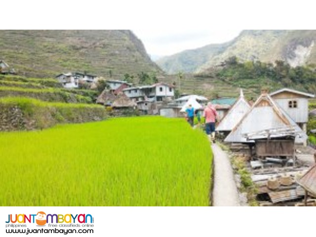 Bold and Beautiful, Banaue Tour