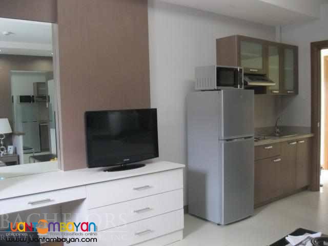 Midori Residences @ Banilad, Cebu City 1 Bedroom Unit