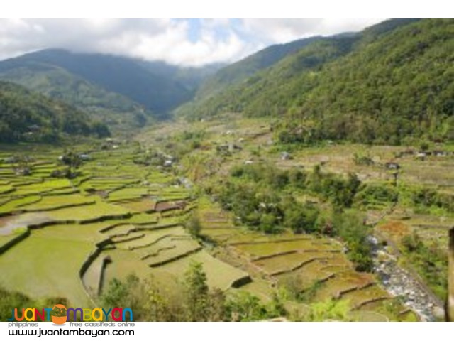 Banaue Tour with Private Transport Package