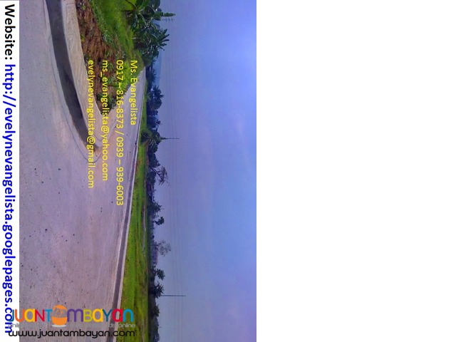 Lot for sale in Cainta Greenland Exec. Village Phase 3B