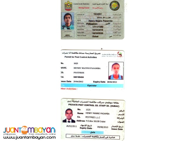 Termite anay Eradication and Pest control