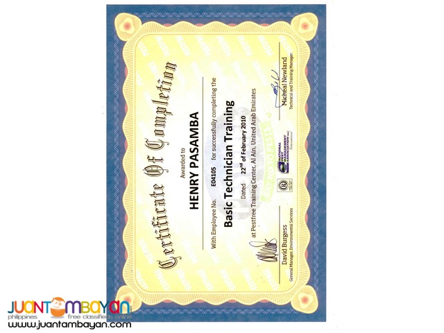 Termite anay Eradication and Pest control