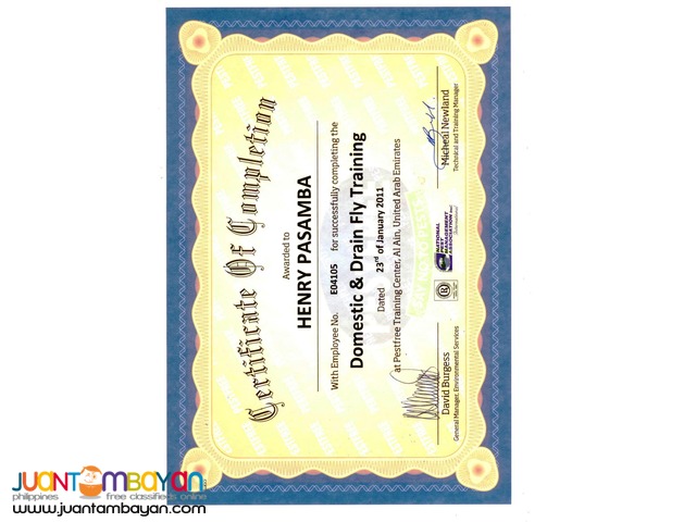 Termite anay Eradication and Pest control