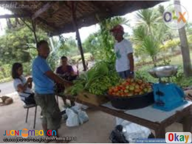 FarmVacation Lots at Manila East Lakeview Farms Morong Rizal